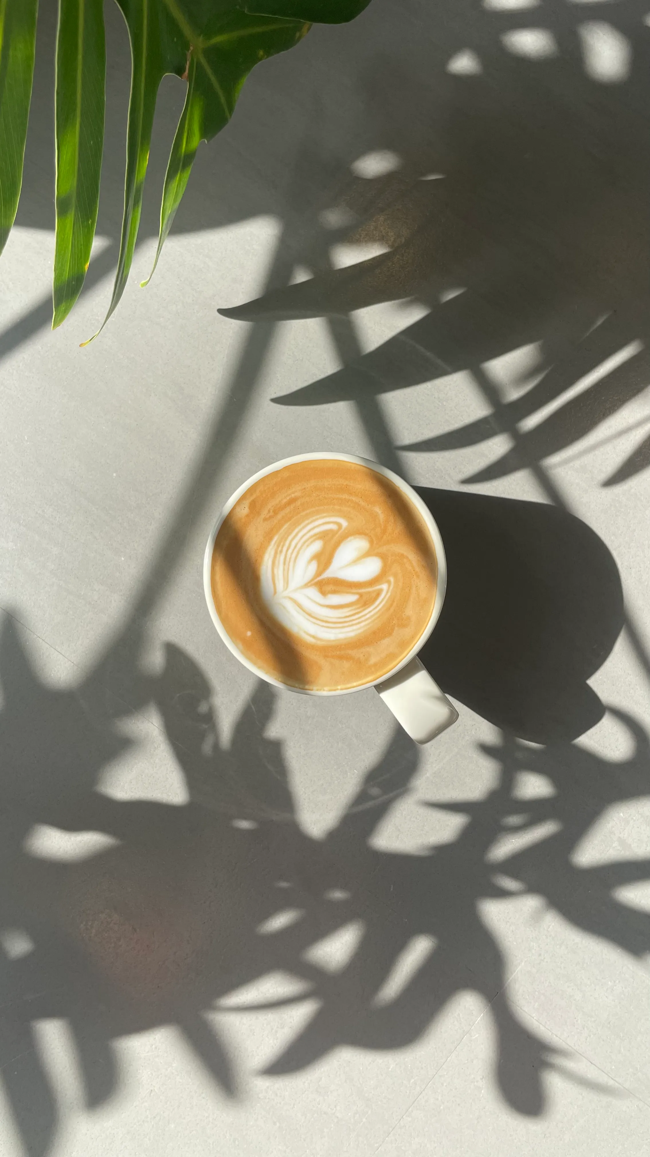 落ち着いた雰囲気の店内